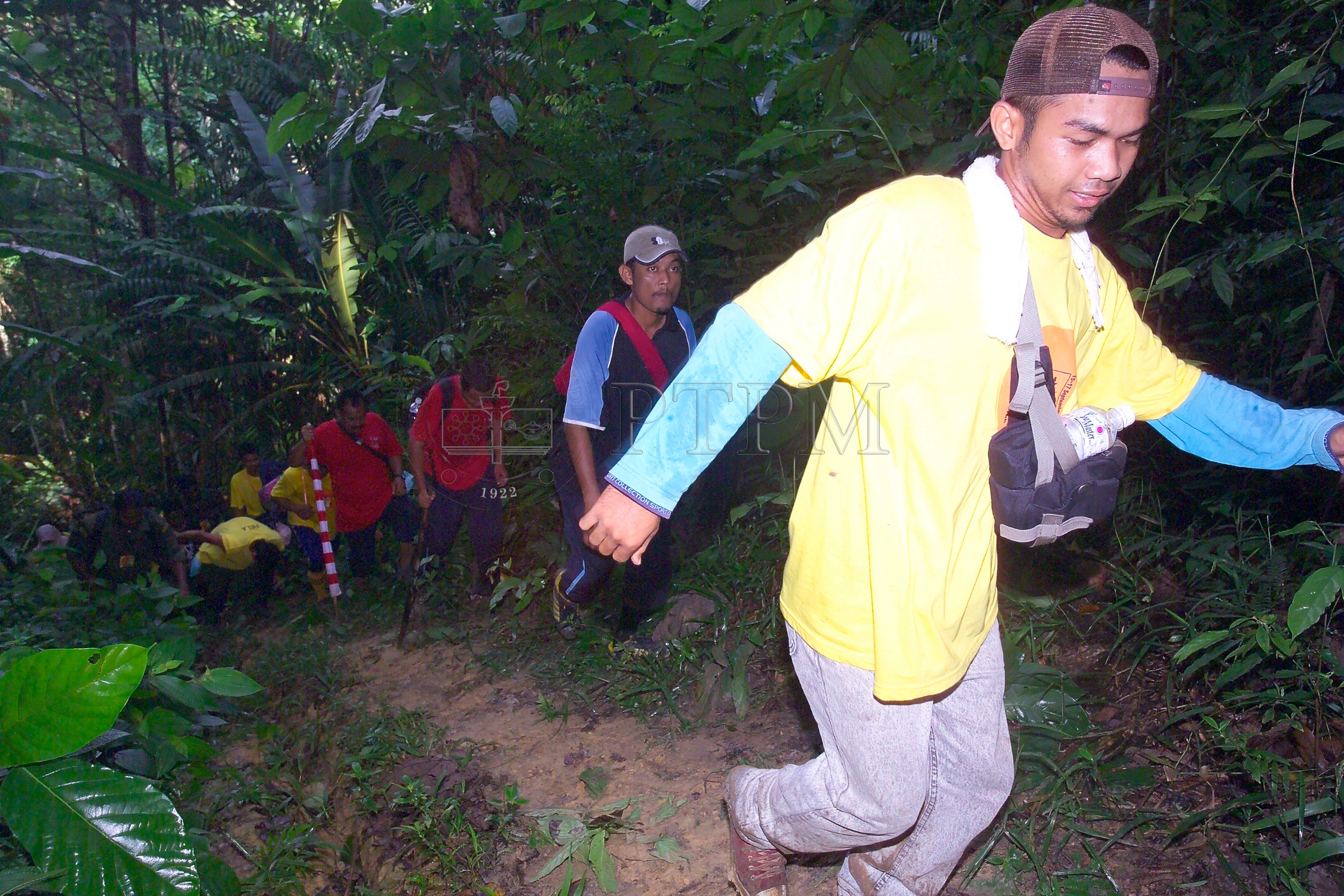 PTPM 06 31 kilau D9X44167